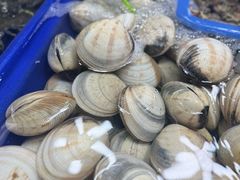 -兰坡海鲜市场