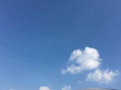 -东大门市场