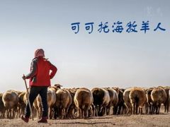 -可可托海景区