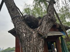 -钱王祠