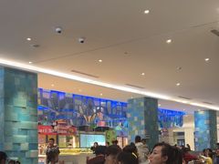 -帝企鹅自助餐厅•儿童岛•真企鹅(长隆企鹅酒店)