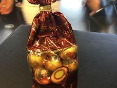 -维也纳国际机场
