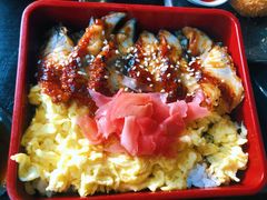 -春草居酒屋·晴子の店