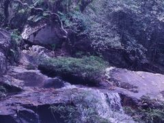 -呀诺达热带雨林
