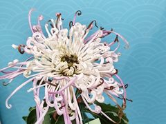 -陶然亭公园南门停车场