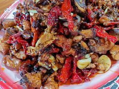 -柴窝堡22号辣子鸡·传承新疆菜