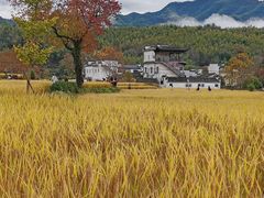 -塔川景区
