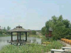 -泗洪洪泽湖湿地景区