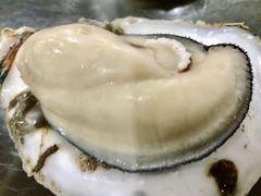 -蚝专家(北滘店)