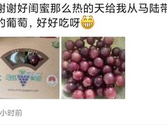 -美家乐农庄·露营·团建(大治路店)