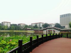 -西海子公园