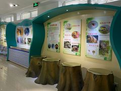 -上海昆虫博物馆