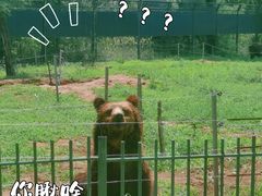 -秦皇岛野生动物园