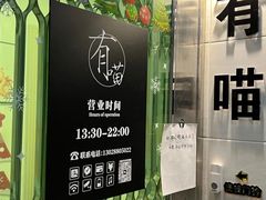 -有喵·猫咖·狗咖·30几只猫10只小狗(岗厦店)