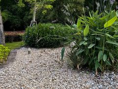-厦门园林博览苑