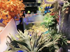 -SEA西雅图海鲜自助餐厅(海乐世界店)