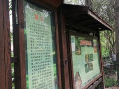 -新江湾城公园