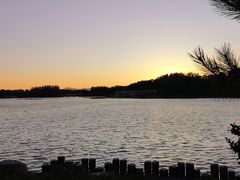 -大兴滨河森林公园