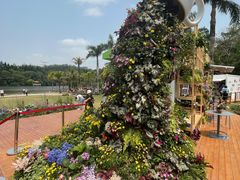 -深圳仙湖植物园