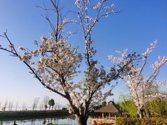 -苏州湾·王焰温泉