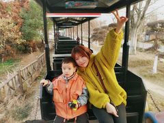 -武汉紫薇都市田园