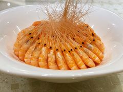 白灼虾-顺风海鲜港(金玉兰店)