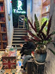 -T.1 hair salon烫染接发