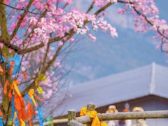 -九皇山景区