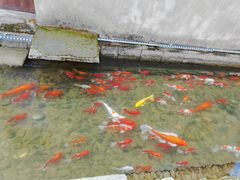 -前童古镇