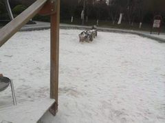 -映月湖中央公园