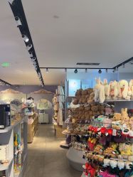 -国际蓝孩(将台路店)