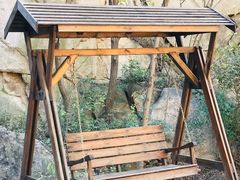 -大岭沟猕猴桃谷风景区