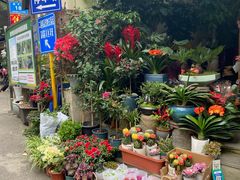 -青石桥花鸟鱼虫市场(叠翠城店)