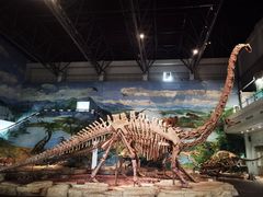 -自贡恐龙博物馆