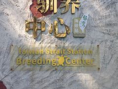 -广东惠东海龟国家级自然保护区