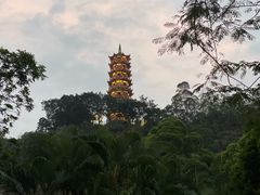 -南沙蒲洲花园