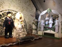 -济州岛泰迪熊博物馆