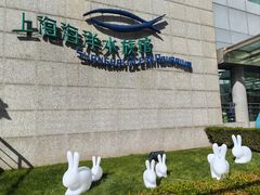 -上海海洋水族馆