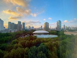 -海豚湾高端月子会所(黄浦店)