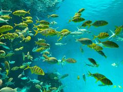 -泉城欧乐堡海洋极地世界