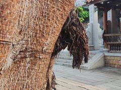 -晋江五店市传统文化旅游区
