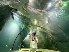-福州罗源湾海洋世界旅游区