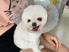 -宠福鑫康馨动物医院·骨科·眼科
