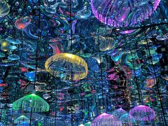 -天津梵高星空艺术馆(天河城旗舰店)