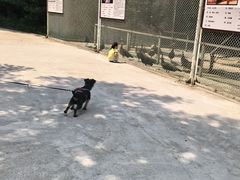 -青峰峡国家森林公园