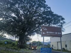 -河川生态园