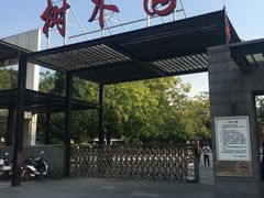 -中山市树木园