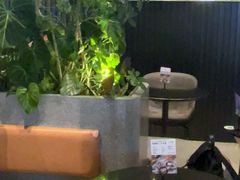 -gaga(深圳福田星河COCO Park店)
