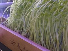 鲜活豌豆苗-老表记广西宵夜螺蛳鸭脚煲(西大店)