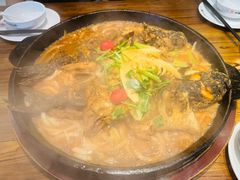 -老板恋上鱼(印象城店)